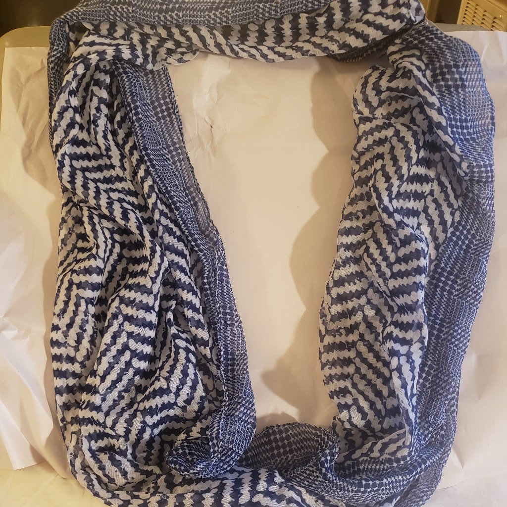 Simonetta Blue  White Infinity Scarf